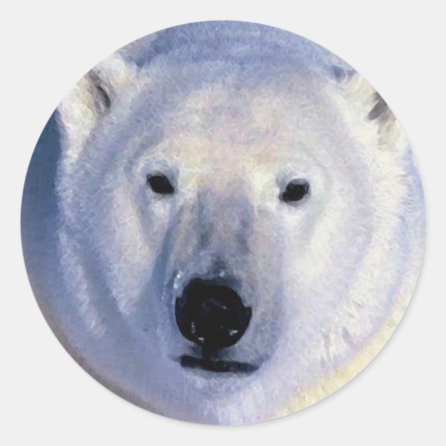 Polar Bear Classic Round Sticker (Front)