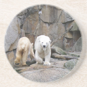 POLAR BEAR coaster