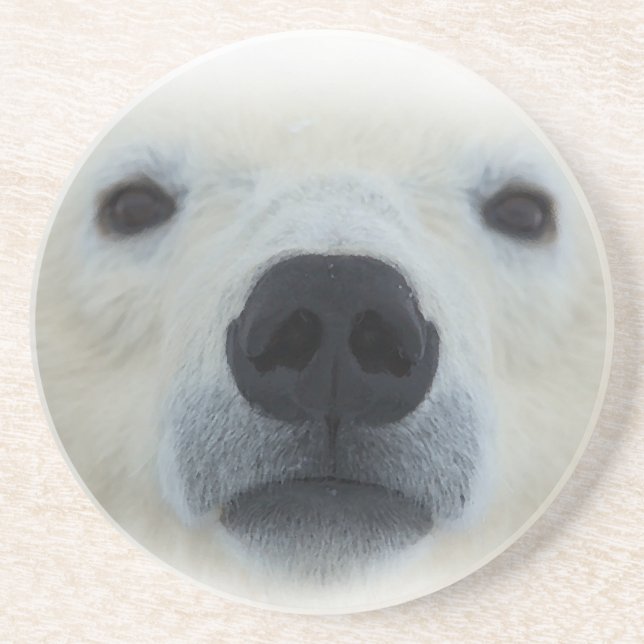 Polar Bear Coaster (Front)