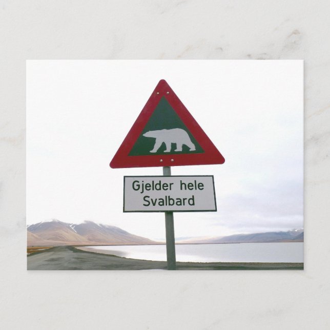Polar bear crossing traffic sign postcard (Front)