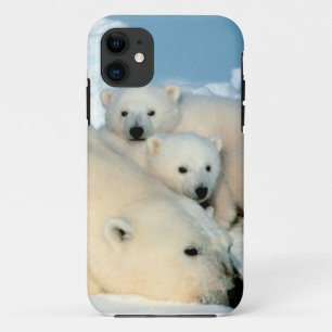 Polar bear cub 1 iPhone 11 case