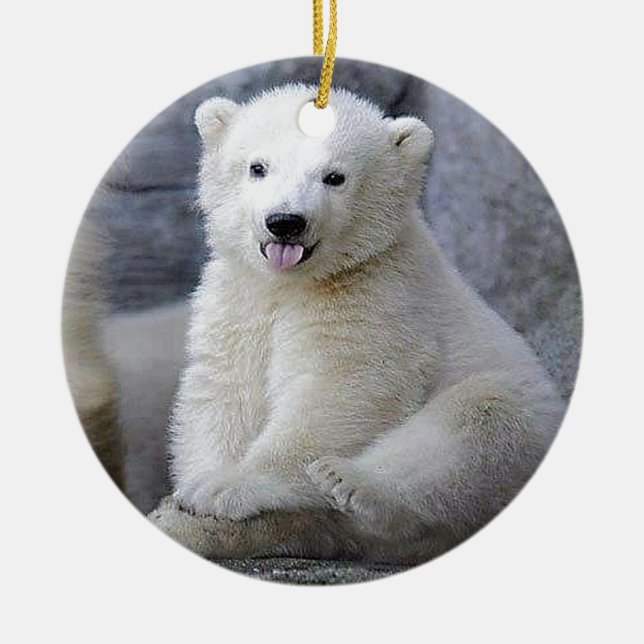 Polar Bear Cub Ceramic Tree Decoration (Front)