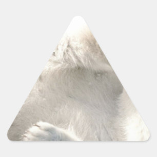 Polar Bear Cub Cute Animal Arctic Frozen Winter Triangle Sticker