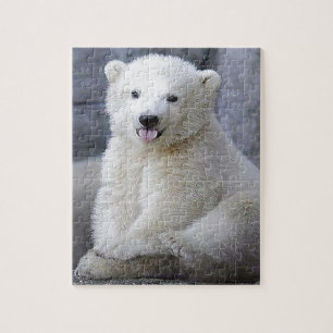 Polar Bear Cub Jigsaw Puzzle
