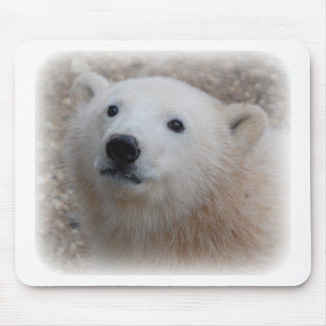 Polar Bear Cub Mouse Mat (Front)