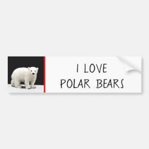 Polar Bear Cub Painting - Original Wildlife Art Bumper Sticker