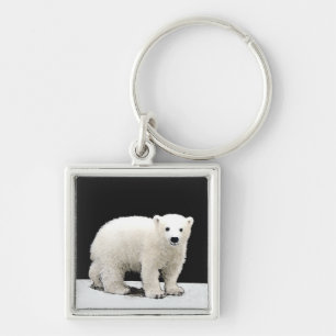Polar Bear Cub Painting - Original Wildlife Art Key Ring