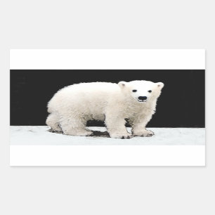 Polar Bear Cub Painting - Original Wildlife Art Rectangular Sticker