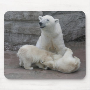 Polar bear cubs mouse mat