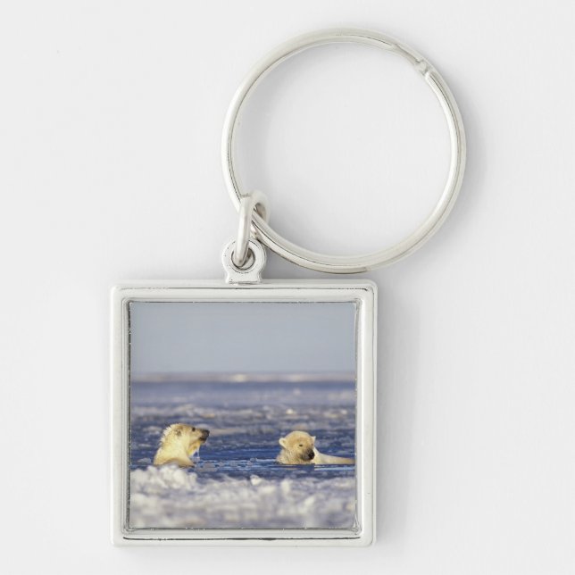Polar bear cubs playing key ring (Front)