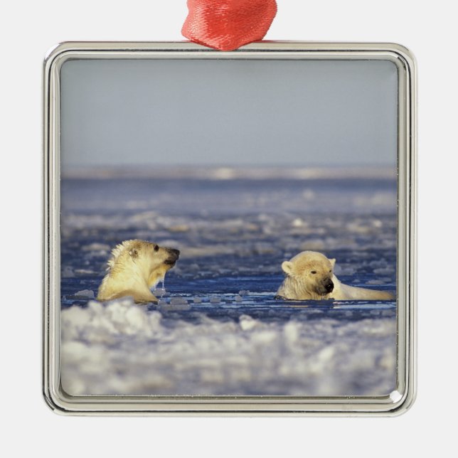 Polar bear cubs playing metal tree decoration (Front)