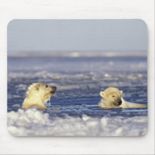 Polar bear cubs playing mouse mat