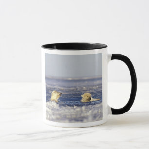 Polar bear cubs playing mug