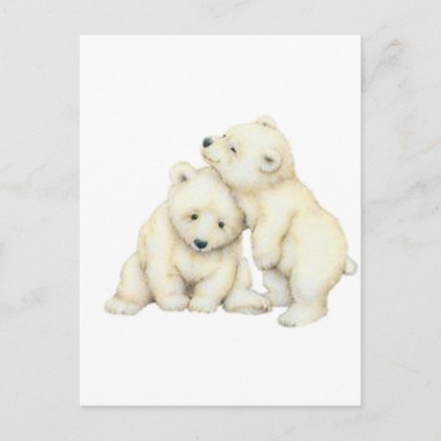Polar Bear Cubs Postcard (Front)