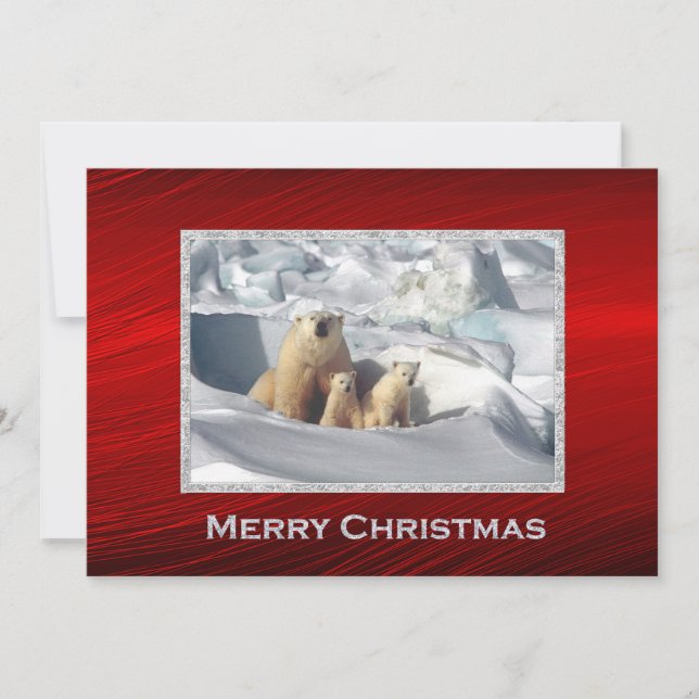 Polar Bear Cubs Snow Photo Christmas Flat Holiday Card (Front)