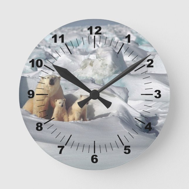 Polar Bear Cubs Snow Photo Round Clock (Front)