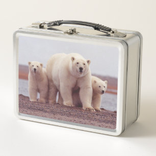 Polar Bear Cute Family Mother and Cubs Photo Metal Lunch Box