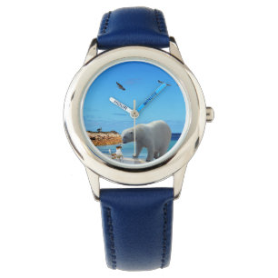 Polar Bear Encounter, Watch
