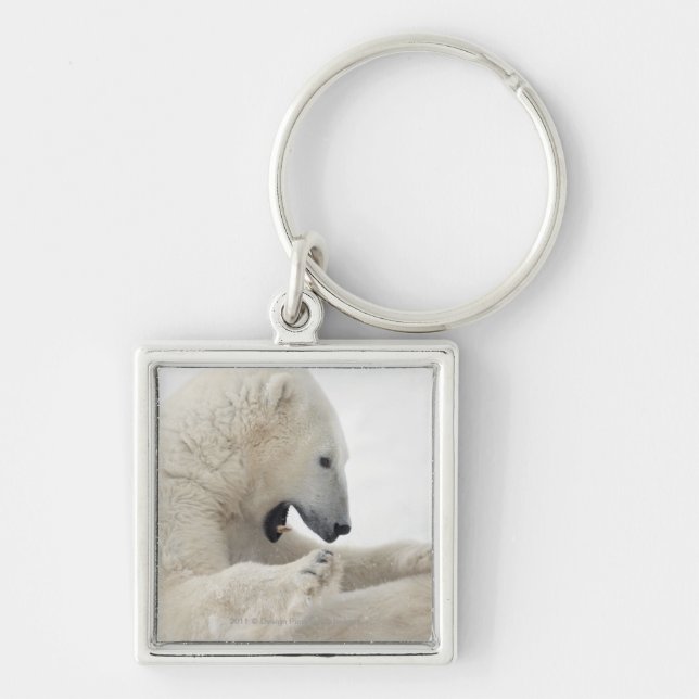 Polar bear engaging in a fight with another bear key ring (Front)