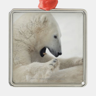 Polar bear engaging in a fight with another bear metal tree decoration