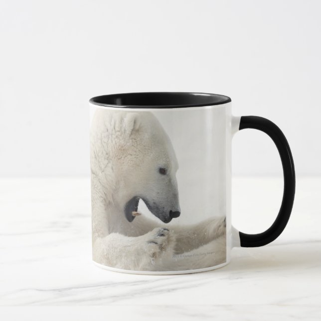 Polar bear engaging in a fight with another bear mug (Right)