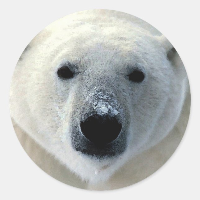 Polar Bear Face Classic Round Sticker (Front)