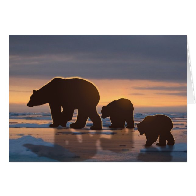 Polar Bear family (Front Horizontal)