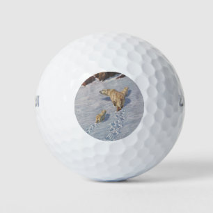 Polar Bear Family in the Arctic Snow Golf Balls