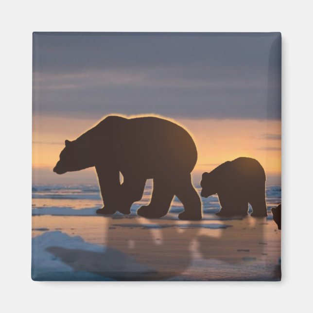 Polar Bear family Magnet (Front)