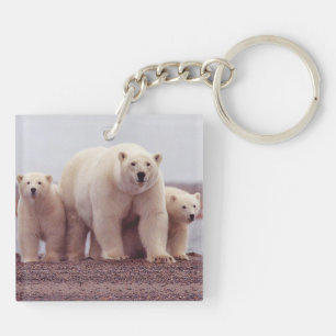 Polar Bear Family Mother and Cubs Photo Key Ring
