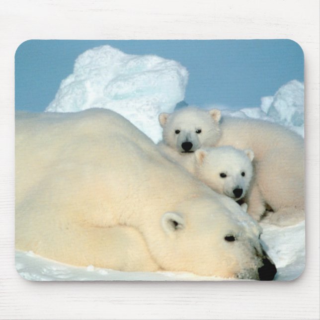 Polar Bear Family Mouse Mat (Front)