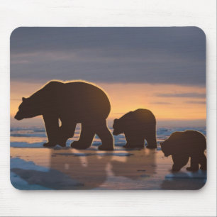 Polar Bear family Mouse Mat