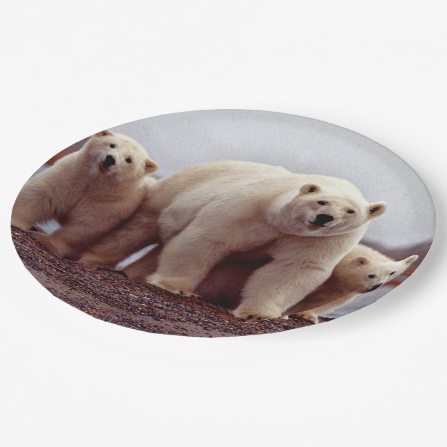 Polar Bear Family Paper Plate (Angled)