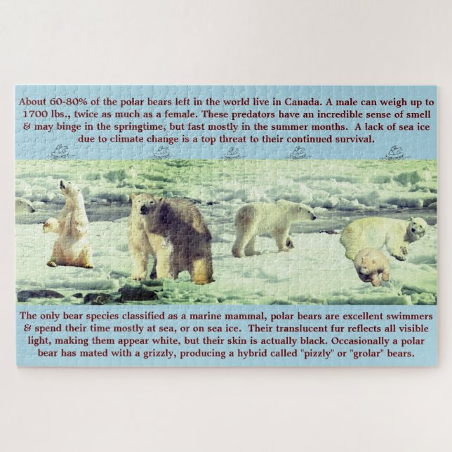 Polar Bear Fun Facts 20"x30" - 1,014 piece Jigsaw Puzzle (Horizontal)