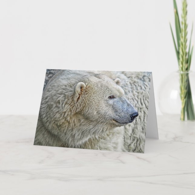 Polar Bear Greeting Card (Front)