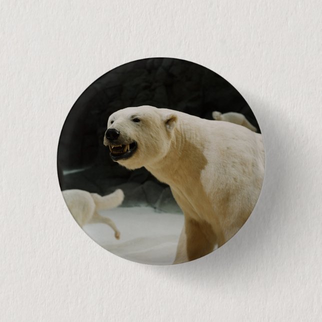 Polar Bear Grin 3 Cm Round Badge (Front)