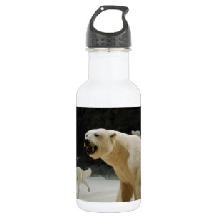 Polar Bear Grin 532 Ml Water Bottle
