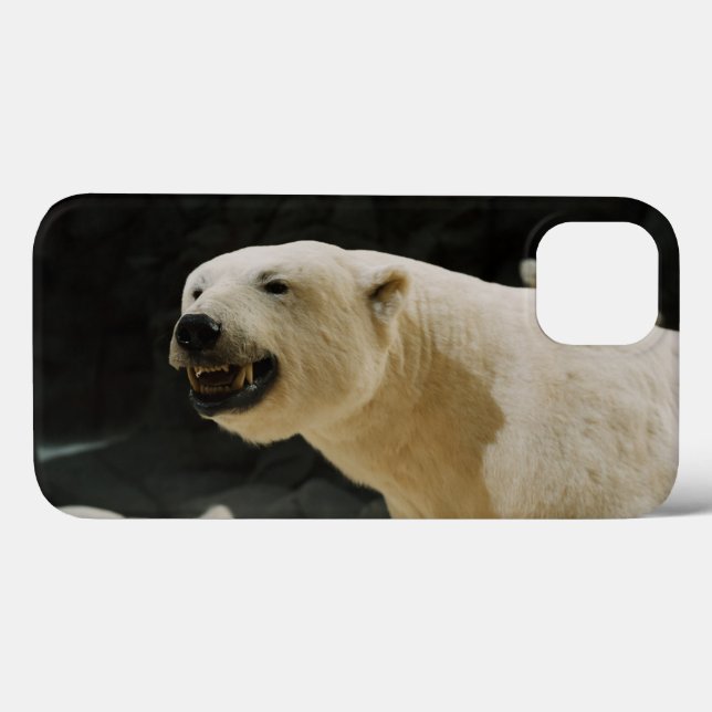 Polar Bear Grin Case-Mate iPhone Case (Back (Horizontal))