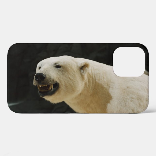 Polar Bear Grin Case-Mate iPhone Case (Back (Horizontal))