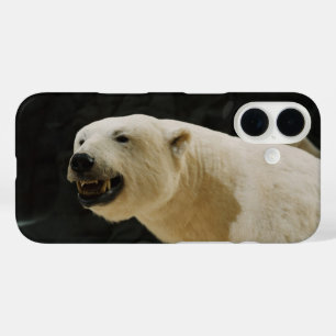 Polar Bear Grin iPhone 16 Case