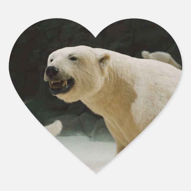 Polar Bear Grin Heart Sticker (Front)