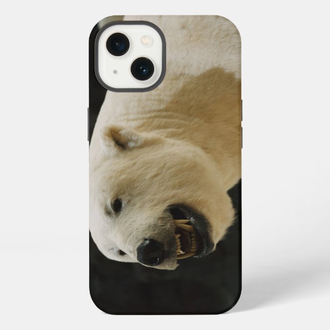Polar Bear Grin iPhone Case (Back)