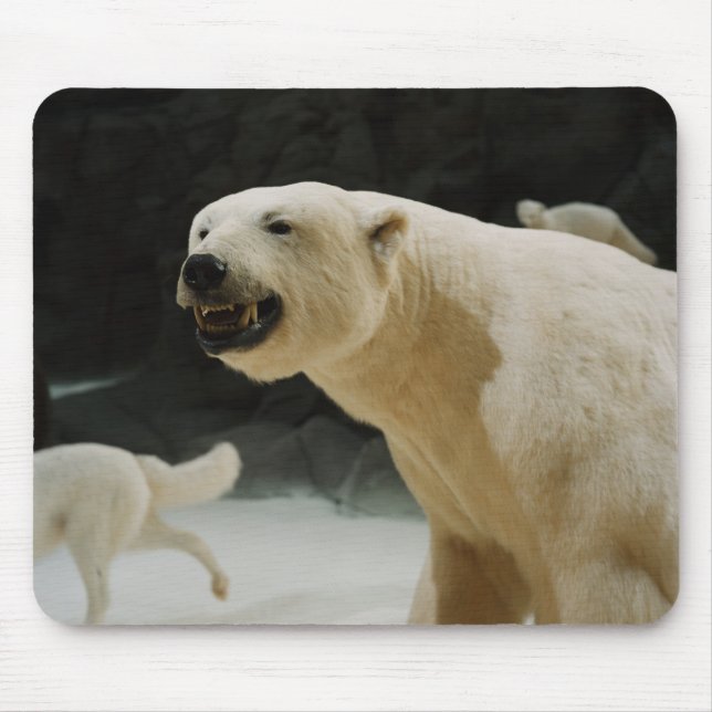 Polar Bear Grin Mouse Mat (Front)