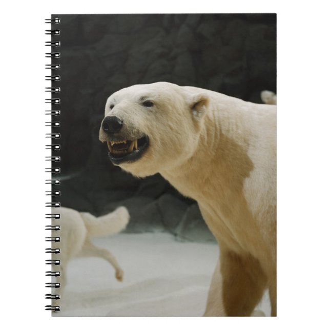 Polar Bear Grin Notebook (Front)