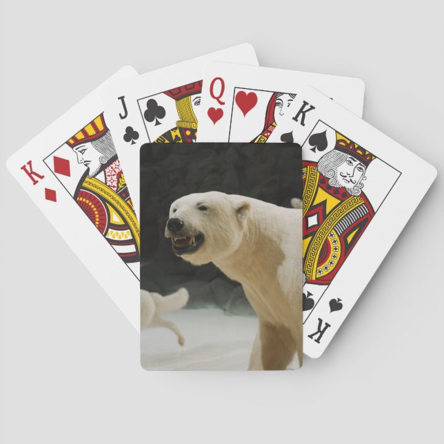 Polar Bear Grin Playing Cards (Back)
