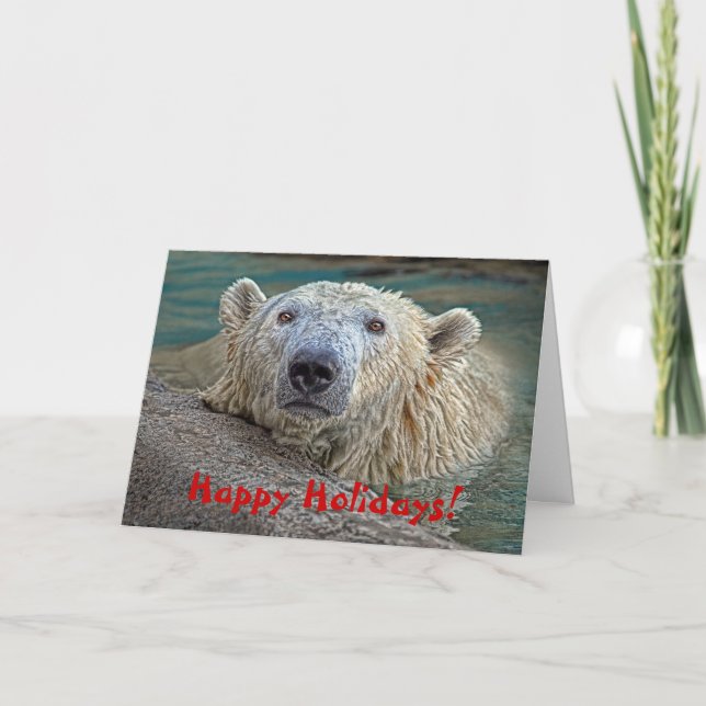 Polar Bear Happy Holidays! Holiday Card (Front)