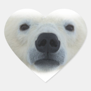 Polar Bear Heart Sticker