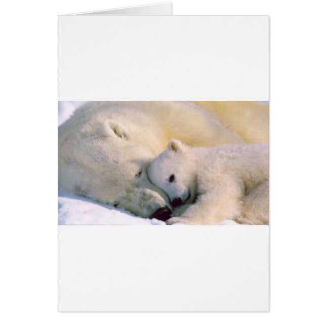 Polar Bear Hugs (Front)