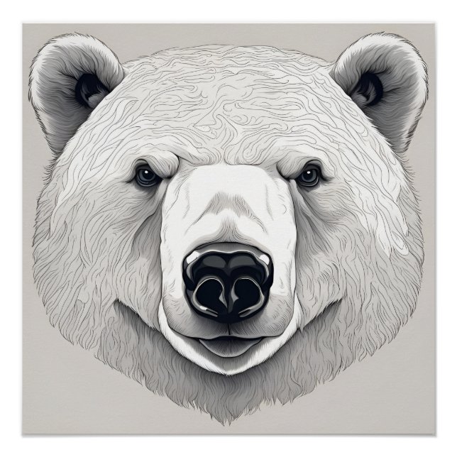 Polar Bear Illustration Poster (Front)