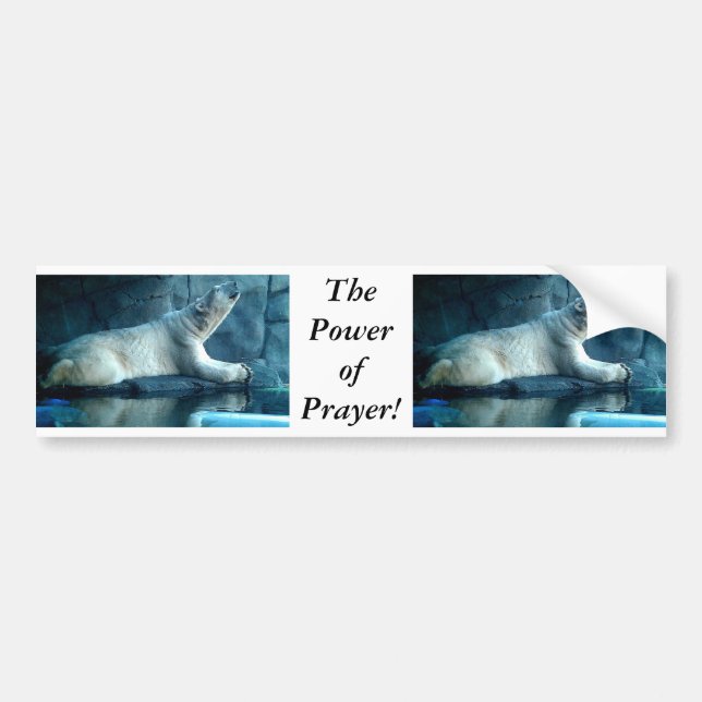 Polar Bear In Prayer Bumper Sticker (Front)